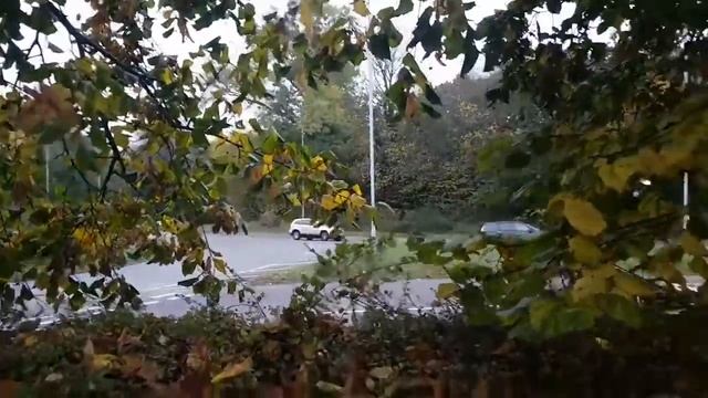 Tesla crashes into BRAND NEW Mercedes at dealership 😂🙈 смотреть онлайн