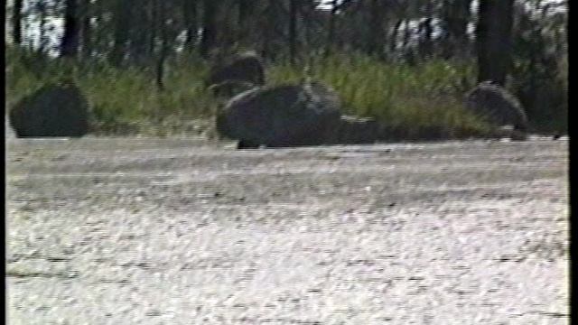 Макс-Зеленый город, Крещение у Малышева,ДР Сергей в офисе Ковалева, Рыбалка -залив