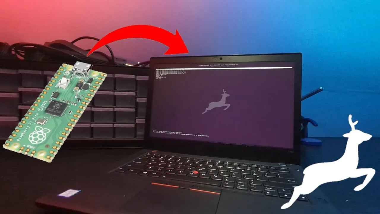 Libreboot Thinkpad T480 с Raspberry Pi Pico смотреть онлайн