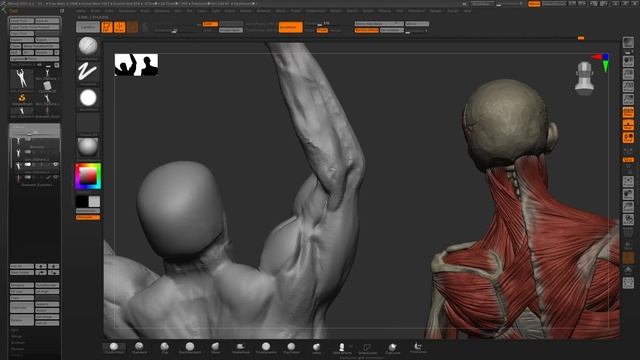 Sculpting Dynamic Anatomy In ZBrush (RAW FOOTAGE) - Part 02 (NO AUDIO) смотреть онлайн