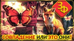 204 Умершие являются нам в виде животных  Истории Зрителей