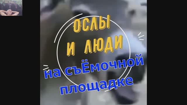 Как снимаются в кино ослы и люди