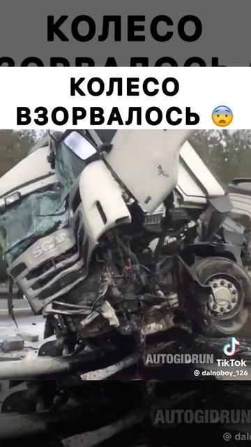 1000014083.mp4 смотреть онлайн
