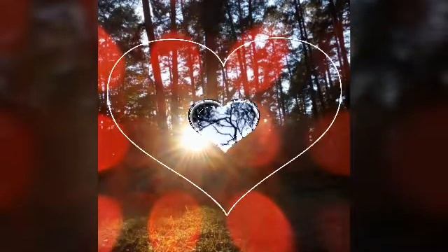 2 видео на тему: природа и эстетика 🖤 смотреть онлайн