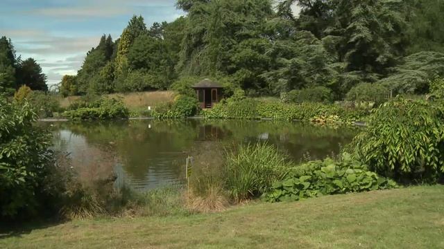 Oxford Navigate (B1) Unit 06 Nettlebed смотреть онлайн