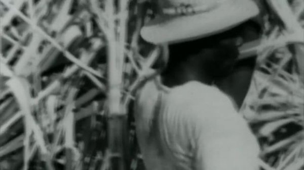 BBC: Drills, Dentures and Dentistry: An Oral History / BBC: Свёрла, протезы и стоматология