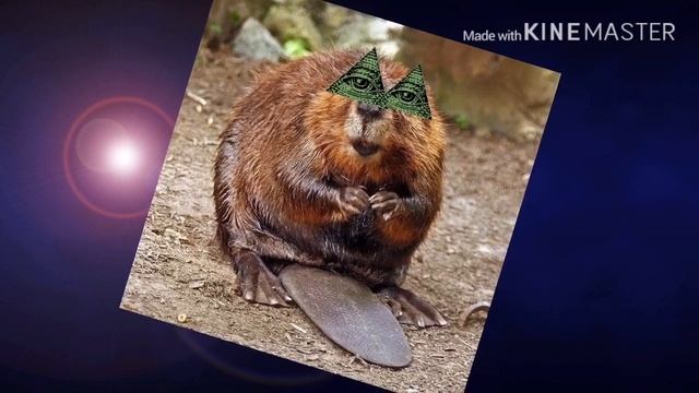БОТ МАКСИМ УТВЕРЖДАЕТ— БОБРЫ ИЛЮМИНАТЫ!!! смотреть онлайн