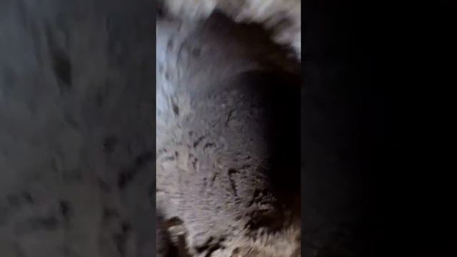 2 прокола в ручную смотреть онлайн