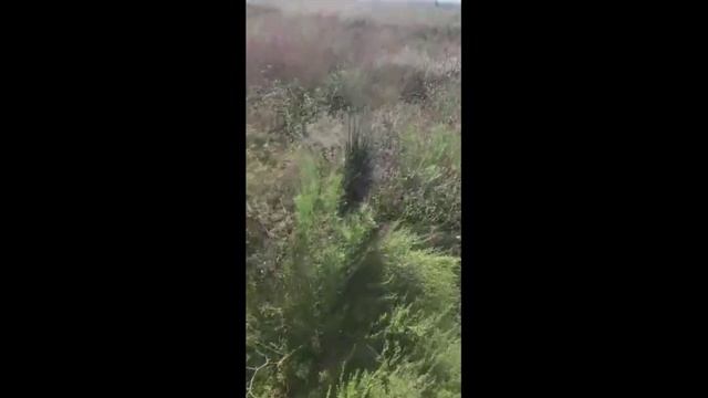 зем участок смотреть онлайн