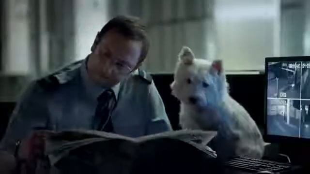 Cesar® the 'Night Shift'  | Price Chopper Furry Friends