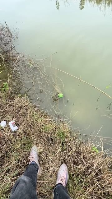 🎣 Рыбалка смотреть онлайн