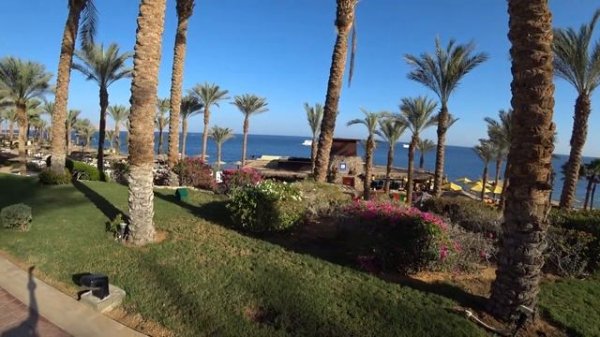 Grand Rotana Resort & Spa 5* - Шарм-Эль-Шейх - Египет - полный обзор
