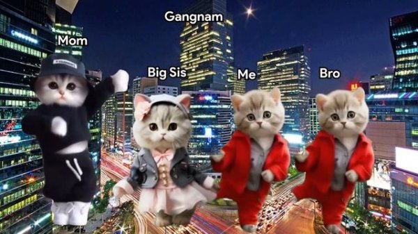 Cat Memes: Family Vacation Compilation