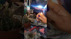 Чистка болотной порчи!(Жабью порчу) #каралепэска #белыймаг #ритуал #помощь #чистка #обряд #эзотерик