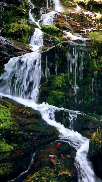 BROWN NOISE 🟤 #brownnoise #sleepmusic #clearmindset #relax #focus смотреть онлайн