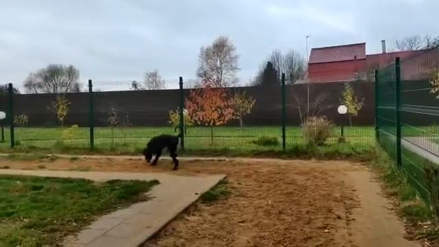 19 октября 2019 г. смотреть онлайн