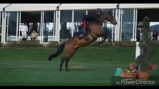 Клип про лошадей смотреть онлайн