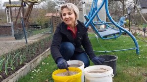 Вот такие ПОДКОРМКИ ДЛЯ РАСТЕНИЙ я применяю весной на даче. @galabum #galabum