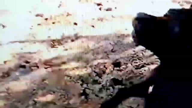 Я фанатка Агопа и его замечательных питбулей)))))) красавчиков:) Надеюсь наберет активчик😊😉 смотреть онлайн