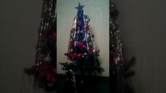 Котенок и елка