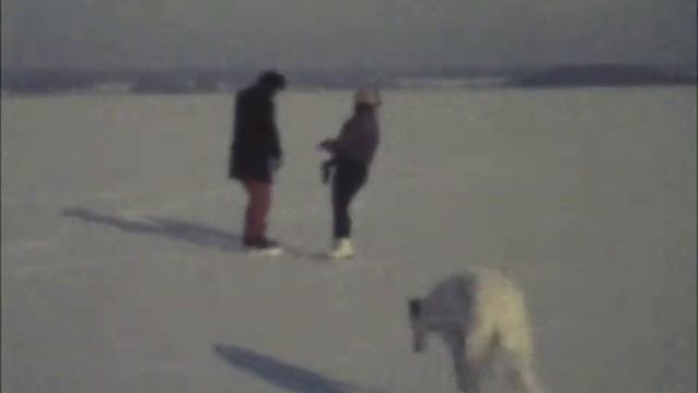 Деревня, коньки смотреть онлайн