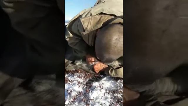 Безкровная операция. смотреть онлайн