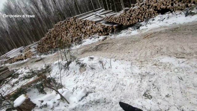 КамАЗ лесовоз,выпустили Кракена смотреть онлайн