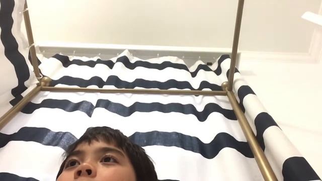 All about camponotus pennsylvanicus! смотреть онлайн