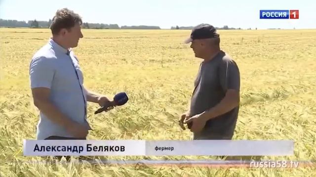 Апробация сортовых посевов смотреть онлайн