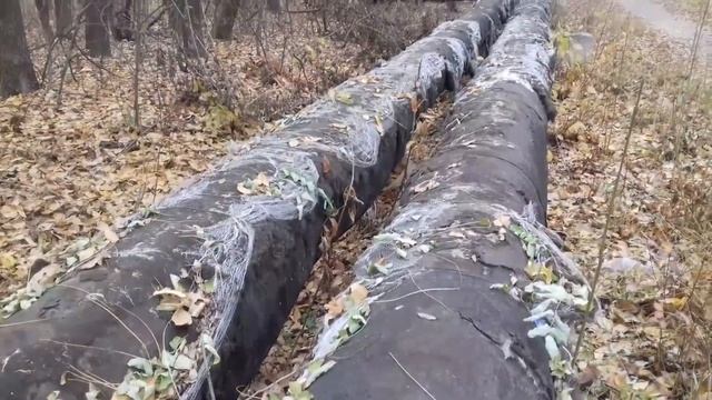 Труба дело15 11 2020 г смотреть онлайн