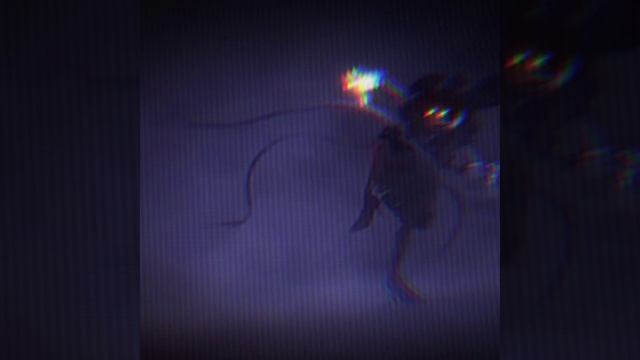 Дроны убийцы