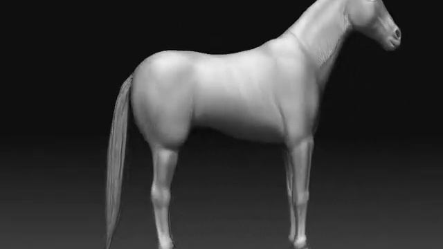 ZBRUSH horse смотреть онлайн