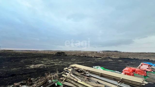 11593331 смотреть онлайн