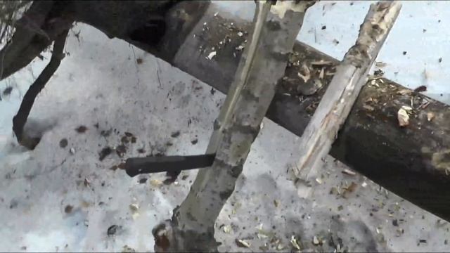 Cold Steel Recon Tanto и ESEE 6 - убойный ТЕСТ по дереву . смотреть онлайн