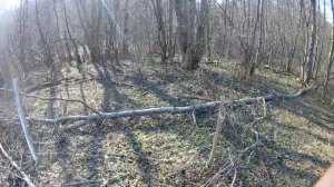 Делаем Солонец для Косуль