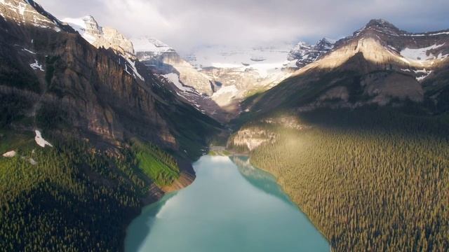 Violet Flame For Elemental Life 2