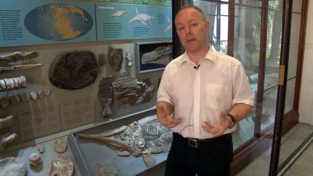 Jurassic Coast смотреть онлайн