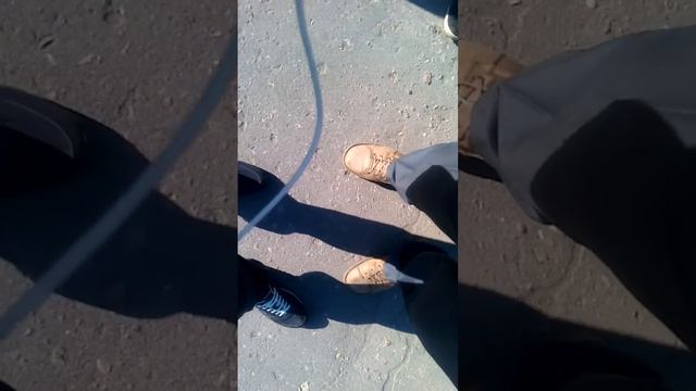 Сисюрики бц априори смотреть онлайн