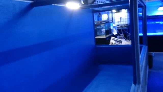 Part 3 of building my 20,000lt shark tank! смотреть онлайн