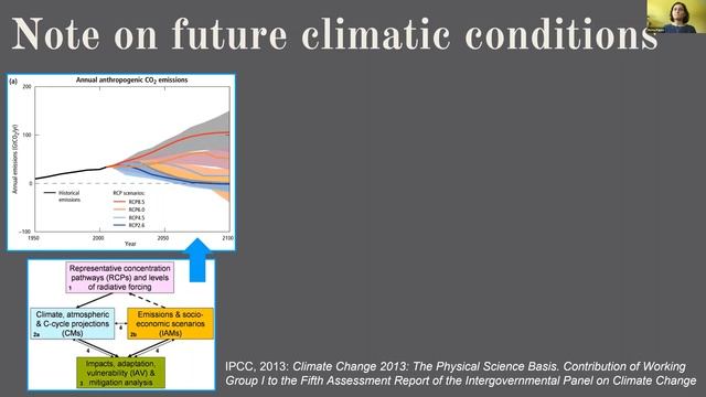 2020 CCL Regional Conference "Models track species distribution under climate change in Appalachia" смотреть онлайн