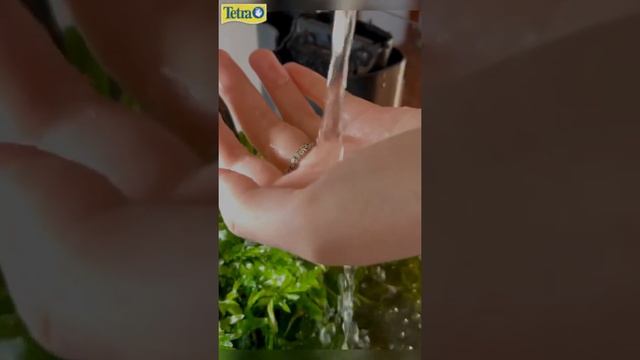 Tetra aquarium maintenance смотреть онлайн
