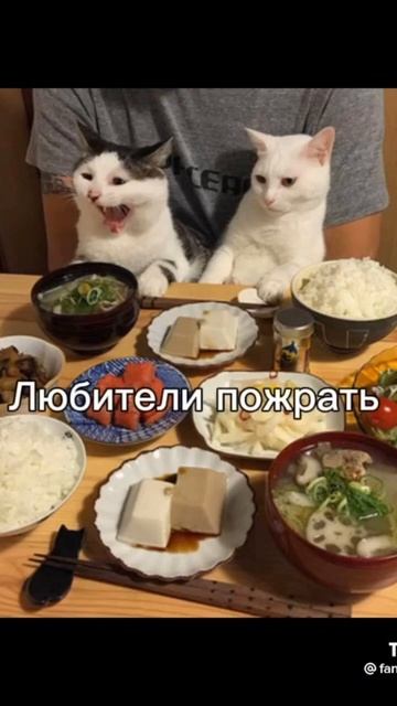 не знаю чты писать смотреть онлайн