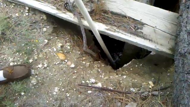 Septic issue смотреть онлайн