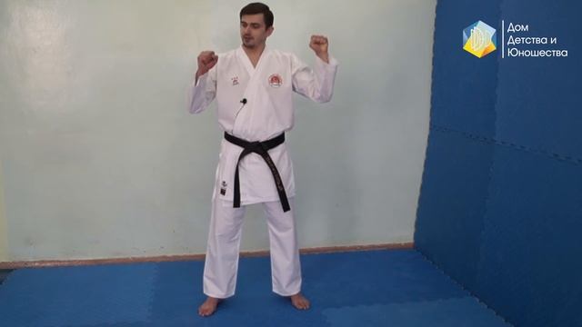Сутормин В.И. Видеозанятие по карате смотреть онлайн