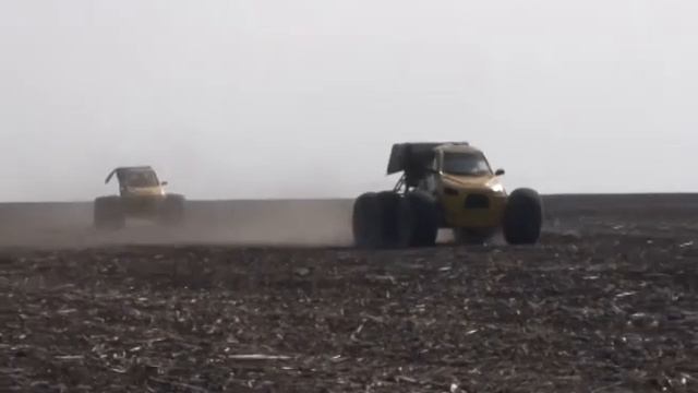 Посевная страда в разгаре смотреть онлайн