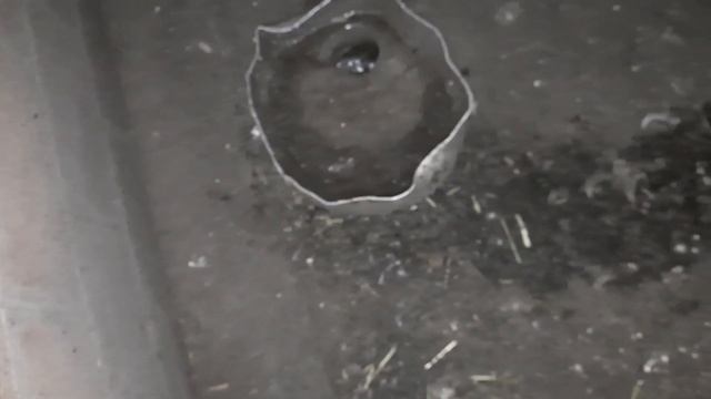 5й день. Вечерняя долгожданная уборка на улицах Вьетнамтаун..)) смотреть онлайн