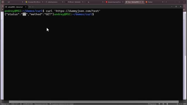 сз17-HTTP API в curl _ Компьютерные сети 2025 - 17 смотреть онлайн