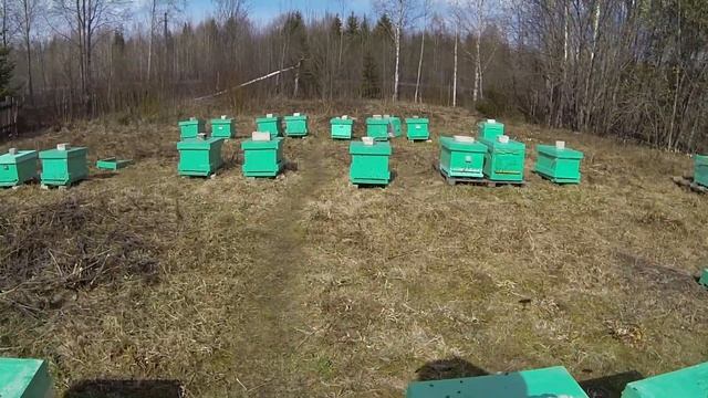 Как определить состояние семьи не открывая улей смотреть онлайн