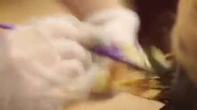 Великолепный цвет от колориста Нигяр 😍😍😍 смотреть онлайн