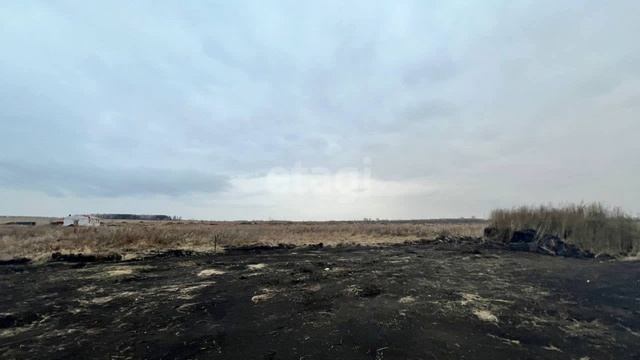 11593208 смотреть онлайн
